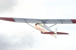 T21 on the wire